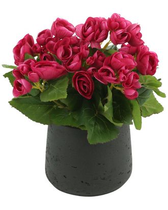 Creative Displays Inc. Pink Begonia Spring Floral Arrangement