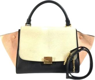 Celine Pre-owned Handbags, female, Multicolor, Size: ONE SIZE Pre-owned Vintage Handbag