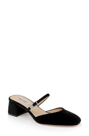 Badgley Mischka Valarie Mary Jane Mule in Black Velvet at Nordstrom Rack, Size 10