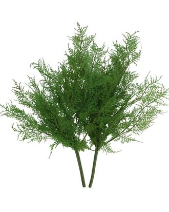 Creative Displays Inc. Green Asparagus Fern Stem