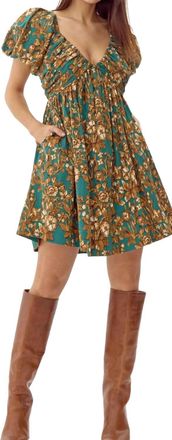 Greylin Karla Mini Dress In Brown/blue
