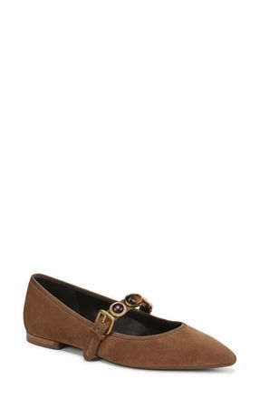 Veronica Beard Selene Charms Pointed Toe Flat in Hazelwood at Nordstrom, Size 6.5