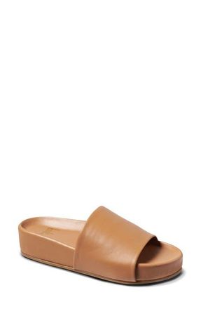 beek Pelican Slide Sandal in Honey at Nordstrom, Size 10