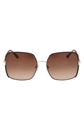 Tom Ford Raphaela 60mm Butterfly Sunglasses in Shiny Dark Brown /Gradient Brown at Nordstrom