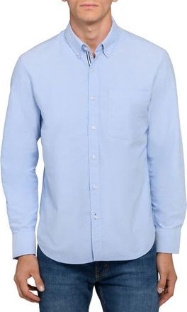 Brooklyn Brigade Solid Oxford Woven Long Sleeve Basic in Blue at Nordstrom, Size Xx-Large