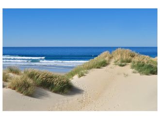 Schubiger M&ouml;bel Digitaldruck auf Acrylglas D&uuml;nen am Meer 1
