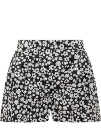 Marni Shorts