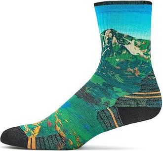 Smartwool Hike Targeted Cushion Mountain Lake Print Crew Socks Womens Crew Cut Socks Shoes Capri : LG (Womens Shoe 10-12.5)