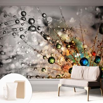 Tulup Carta Da Parati Non Tessuto - Decorazione Da Muro - Traspirante - Con Motivo - Per Camera Da Letto Cucina Io Metto Gioielli Di Rugiada 312x219 Cm