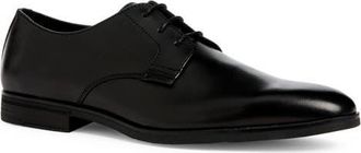 Open Edit Jones Plain Toe Derby in Black at Nordstrom, Size 10.5