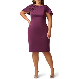 Adrianna Papell Floral Appliqu&eacute;d Scuba Sheath Dress in Pinot Noir at Nordstrom, Size 18W