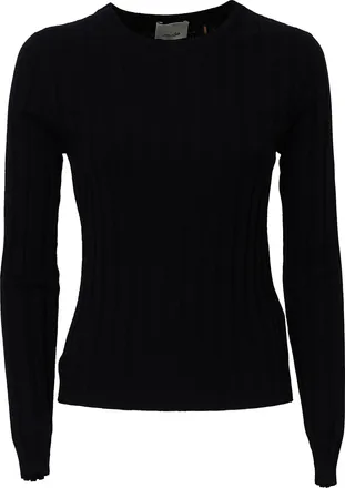 Allude Sheer Fitted Ribbed Wool Crew Neck Sweater