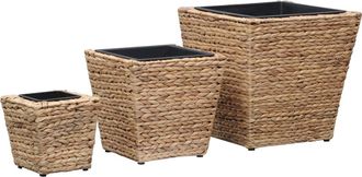 vidaXL Conjunto De Arriates 3 Piezas Jacinto De Agua Vidaxl
