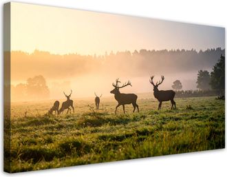 Feeby Cuadro En Lienzo, Ciervos En Celo En La Niebla, 120x60
