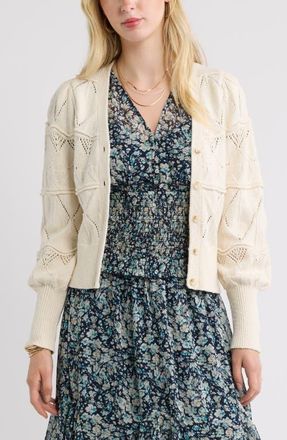 Treasure & Bond Pointelle Knit Button Front Cotton Cardigan in Ivory Dove at Nordstrom, Size Xx-Small