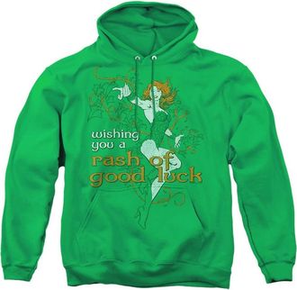 Gildan Justice League of America Rash Of Good Luck Adult Pull Over Hoodie / Hooded Sweatshirt