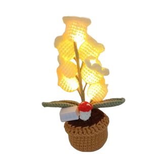OEM Regalo De Flores Eternas, Planta En Maceta - 1 (sin Luces)