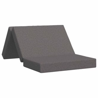 vidaXL Sof&aacute; Cama Plegable 100 X 67 X 45 Cm Gris Claro Vidaxl
