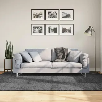 vidaXL Vidaxl - Alfombra De Pelo Corto Oviedo Gris Antracita 160x230 Cm