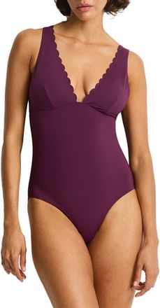 Sea Level Australia Scalloped Plunge One-Piece Swimsuit in Claret at Nordstrom, Size 12