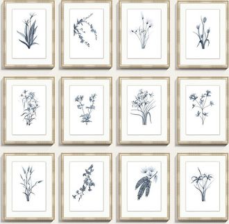 Ballard Designs Fragile Blossoms Art - Cornflower - Print VIII, 40x 31 - Ballard Designs
