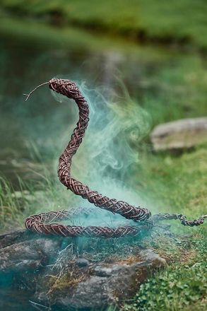 Terrain Rattan Vine Coiled Snake