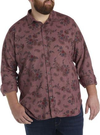 Robert Graham Big & Tall Minetta Sport Shirt in Red at Nordstrom, Size Xx-Large