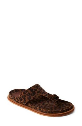 Free People Mika Flip Flop in Chestnut Leopard Suede at Nordstrom Rack, Size 9.5