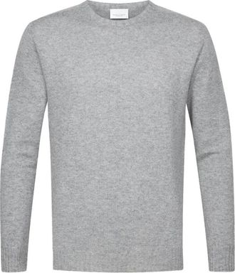 Profuomo Heren, Truien, Grijs, Maat: M Wol