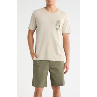 Roark Photograph Cotton Graphic T-Shirt in Fossil at Nordstrom, Size Xx-Large