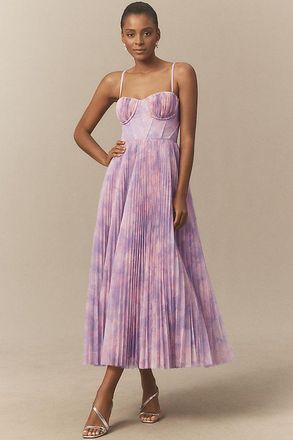 Hutch Amara Corset Pleated Tulle Fit & Flare Midi Dress