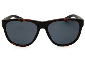 Polaroid PLD2156S Polarized Oval Sunglasses - Brown