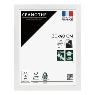 Ceanothe Ceanothe Eternel Marco De Fotos Blanco 44,2 Cm X 34,2 Cm