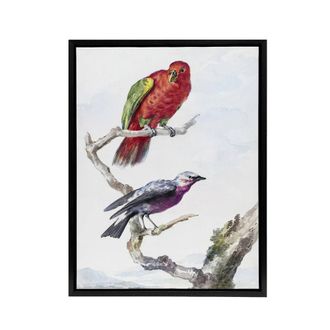 Artery8 Red Green Parrot & Bird Watercolour Schouman Framed Canvas Wall Art in White | Size: W24 x H32