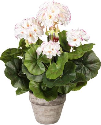 Creativ Green Kunstpflanze »Geranienbusch« im Zementtopf