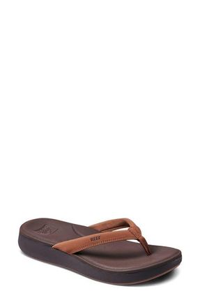Reef Cushioned Cloud Flip Flop in Espresso at Nordstrom, Size 7