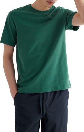 Seasalt Cornwall Merthen T-Shirt in Ruscus Leaf at Nordstrom, Size Xx-Large