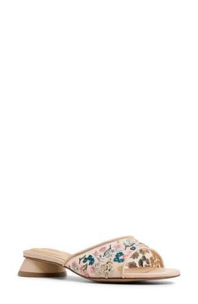 Ted Baker Everly Slide Sandal in Floral at Nordstrom Rack, Size 7.5