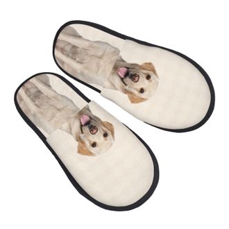 Generic Camping Slippers Labrador Dog Unisex Fleece Slippers Soft Anti-Slide Slipper For Men Winter Spa M