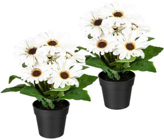 My Home Kunstpflanze