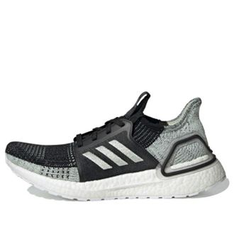 adidas (WMNS) adidas Ultraboost 19 Linen Green G27484