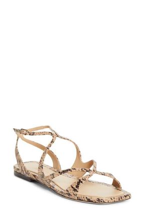 Jimmy Choo London Ayla Strappy Sandal in Chai at Nordstrom, Size 10.5Us