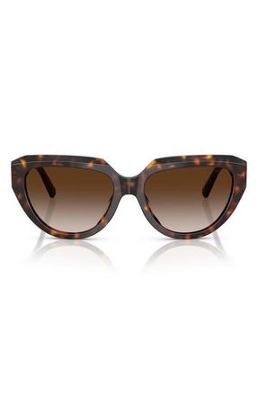 Tiffany & Co. 55mm Gradient Pillow Sunglasses in Havana /Brown Gradient at Nordstrom