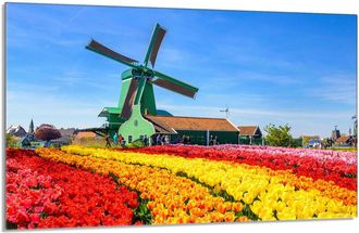 OEM Placa Protectora De Vidrio Para La Estufa 80x52 Ver