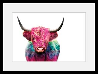 Queence Bild »Yak« Foto Kuh Kuhbilder Kunst HD Premium Poster-Druck inkl. Holzrahmen