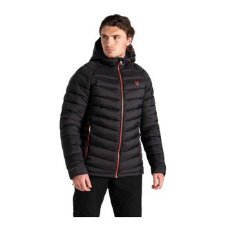 Dare 2B Dare 2B Heren Torrek Mountain gewatteerde jas (Zwart)