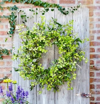 Melrose International Oversized Mixed Foliage Twig Wreath 30D - Green
