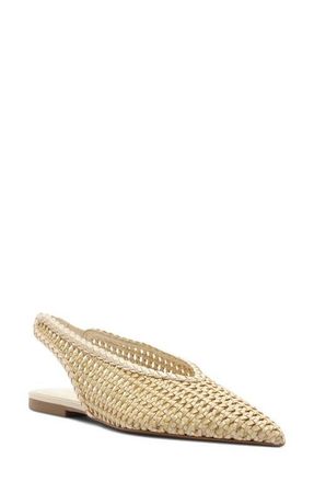 Arezzo Eva Slingback Pointed Toe Flat in Panacota at Nordstrom, Size 7.5