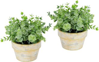 I.GE.A. Kunstpflanze