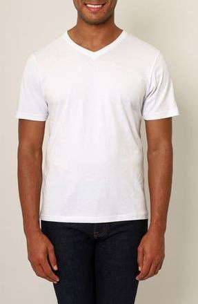 Vella Pais Montpellier V-Neck Cotton T-Shirt in White at Nordstrom Rack, Size Xxx-Large